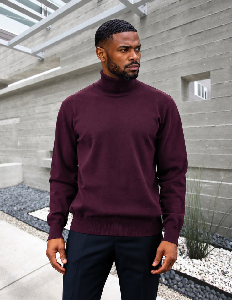 EGGPLANT TURTLE NECK